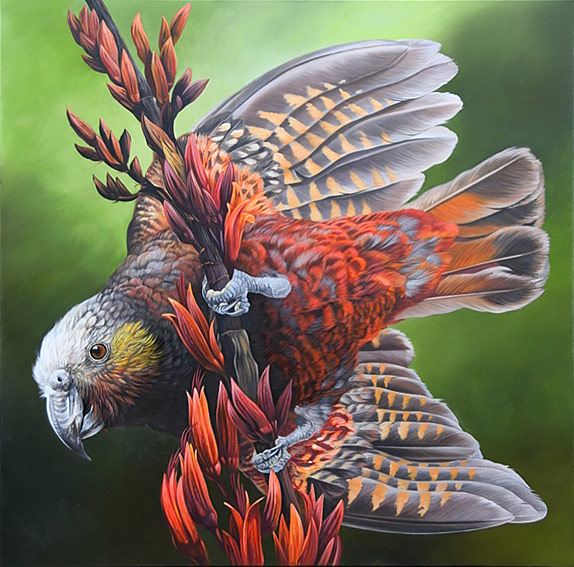 Craig Platt NZ Bird artist, Kaka, Oil on Canvas